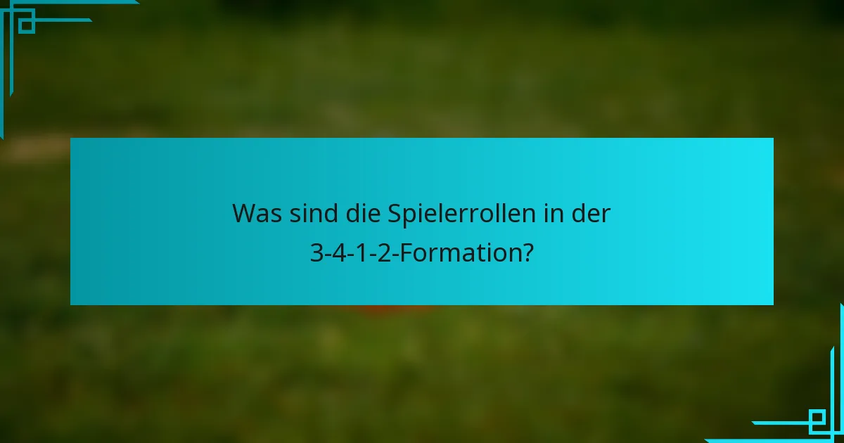 Was sind die Spielerrollen in der 3-4-1-2-Formation?