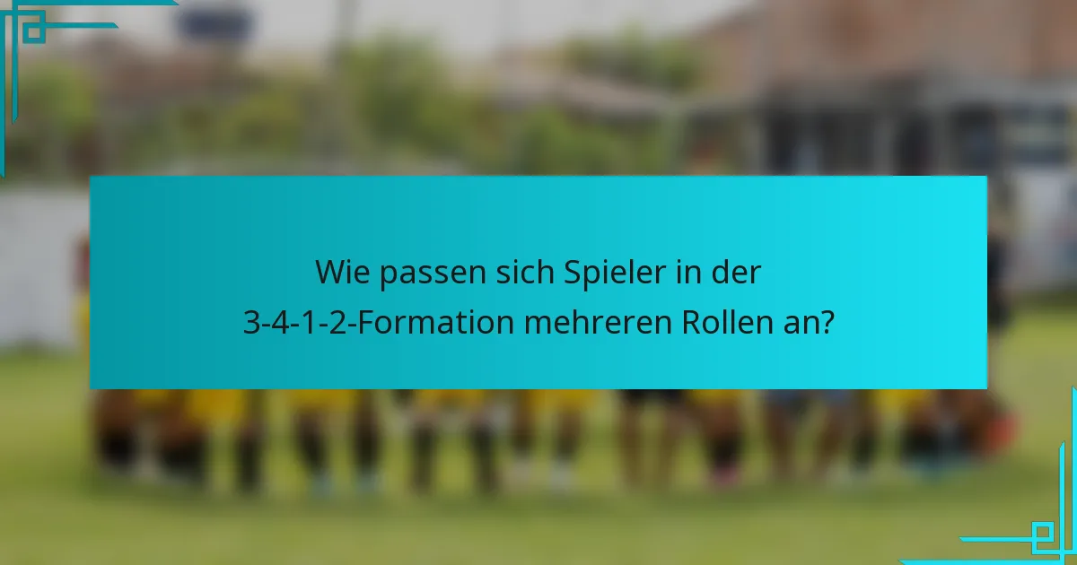 Wie passen sich Spieler in der 3-4-1-2-Formation mehreren Rollen an?